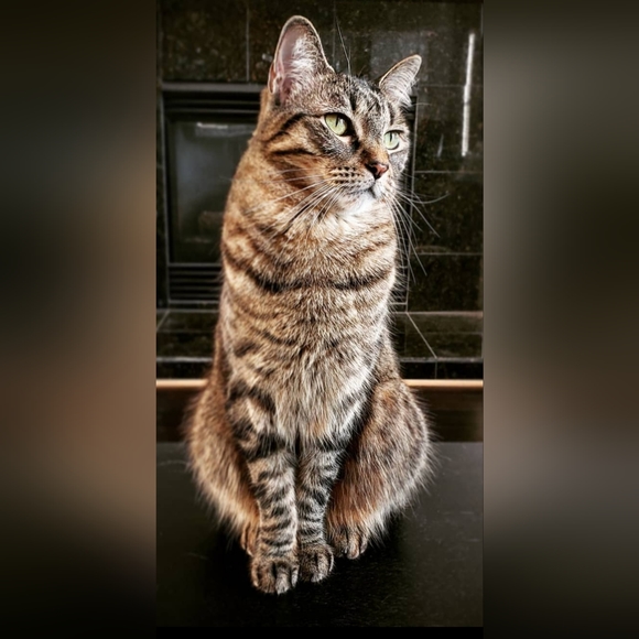 Welcome: Info & Recommendations - Picture 9 of 12